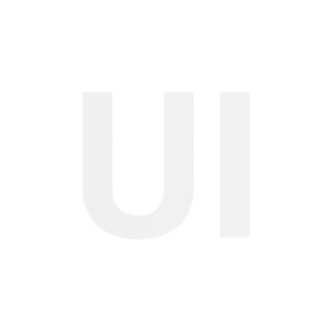 User Interface